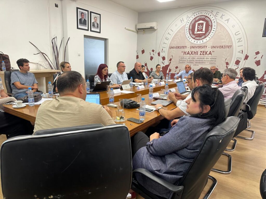 Ekspertë akademikë në punëtori për kërkime dhe inovacion në UHZ